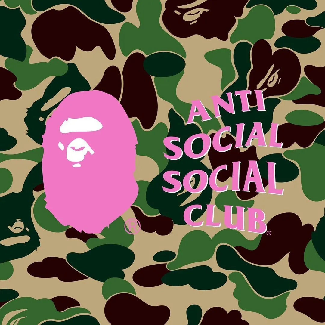 ANTI SOCIAL SOCIAL CLUB  |BAPE ANTI SOCIAL SOCIAL CLUB ASSC Hoodie ABC Camo