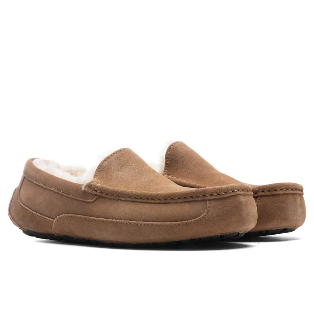 Ascot Slipper - Chestnut