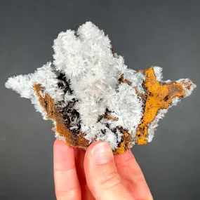 Hemimorphite