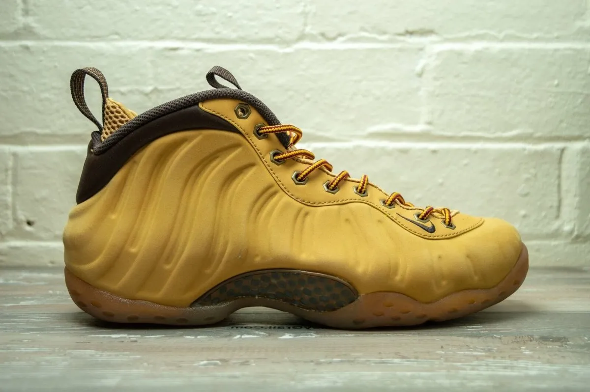 Nike Air Foamposite Pro Premium Wheat 575420 700