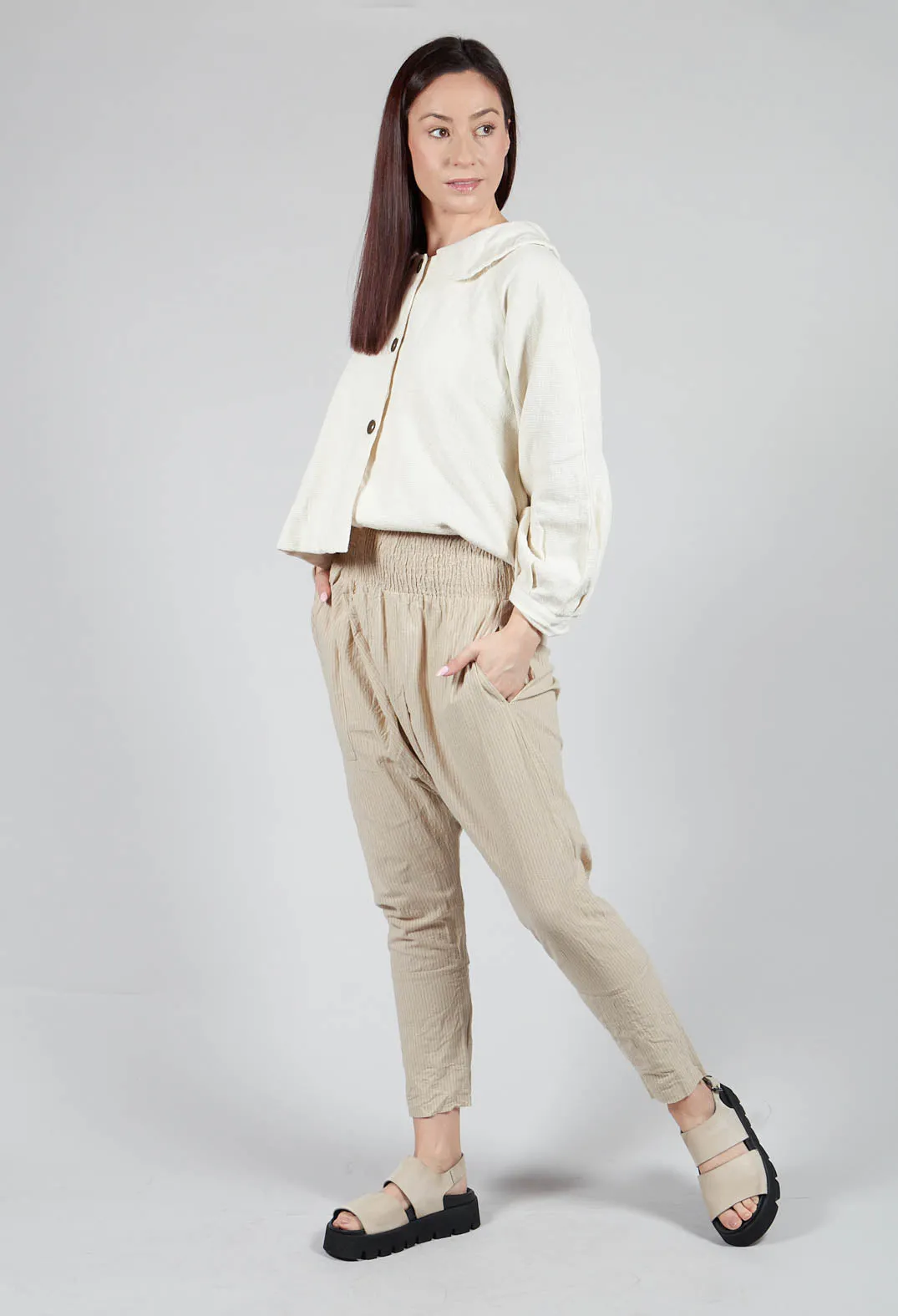 Salak Trousers in Striped Linen