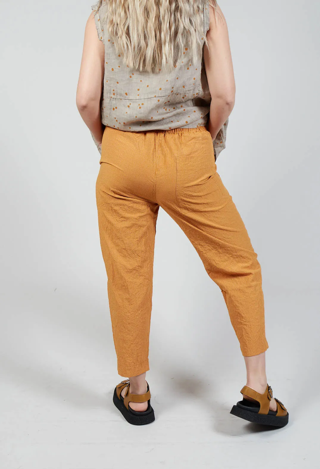 Terra Q Trousers In Ambra