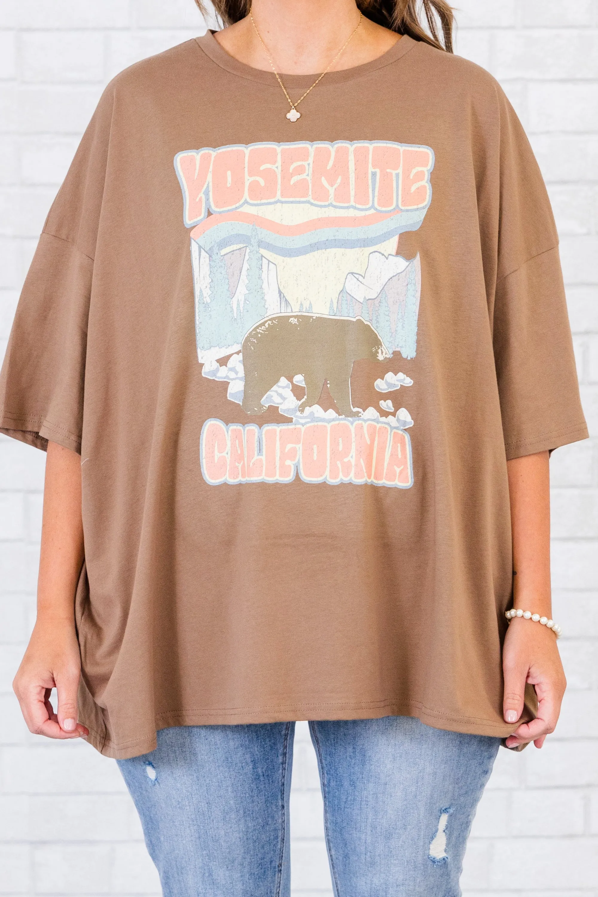 Trip Of A Lifetime Boyfriend Tee, Espresso